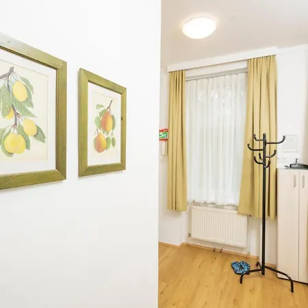 Appartements Ferchergasse Viena Exterior foto